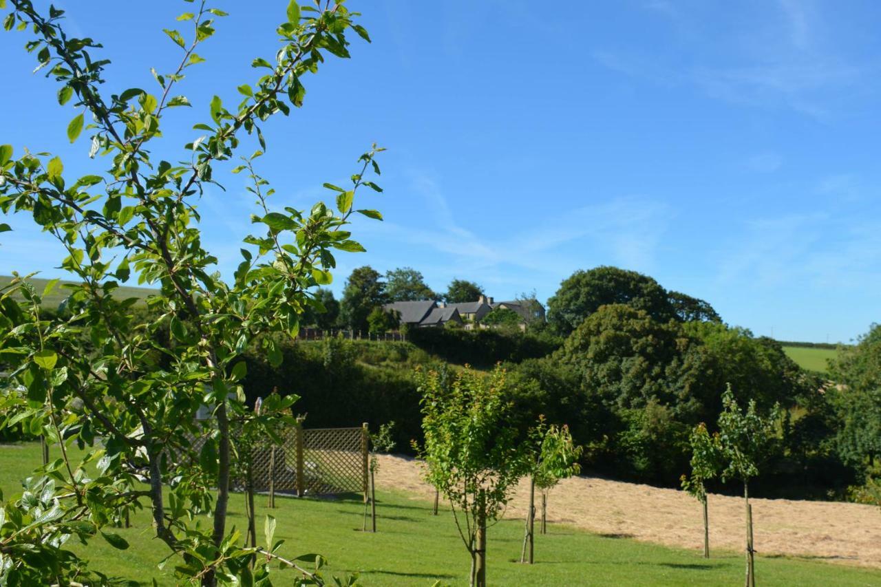 Kerswell Farmhouse Totnes Ngoại thất bức ảnh